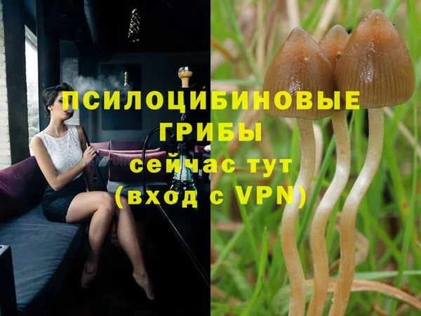 бошки Россошь