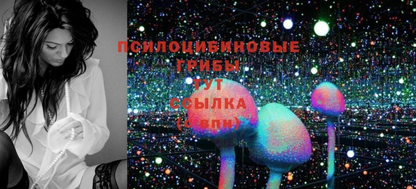 a pvp Рославль