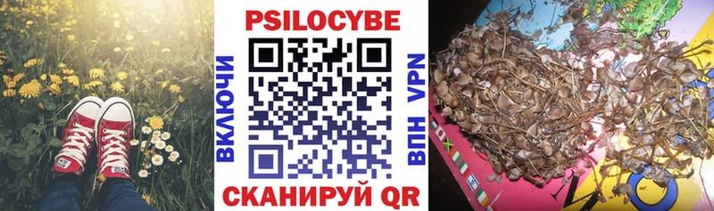 гидра как зайти  Камышлов  Галлюциногенные грибы Magic Shrooms 