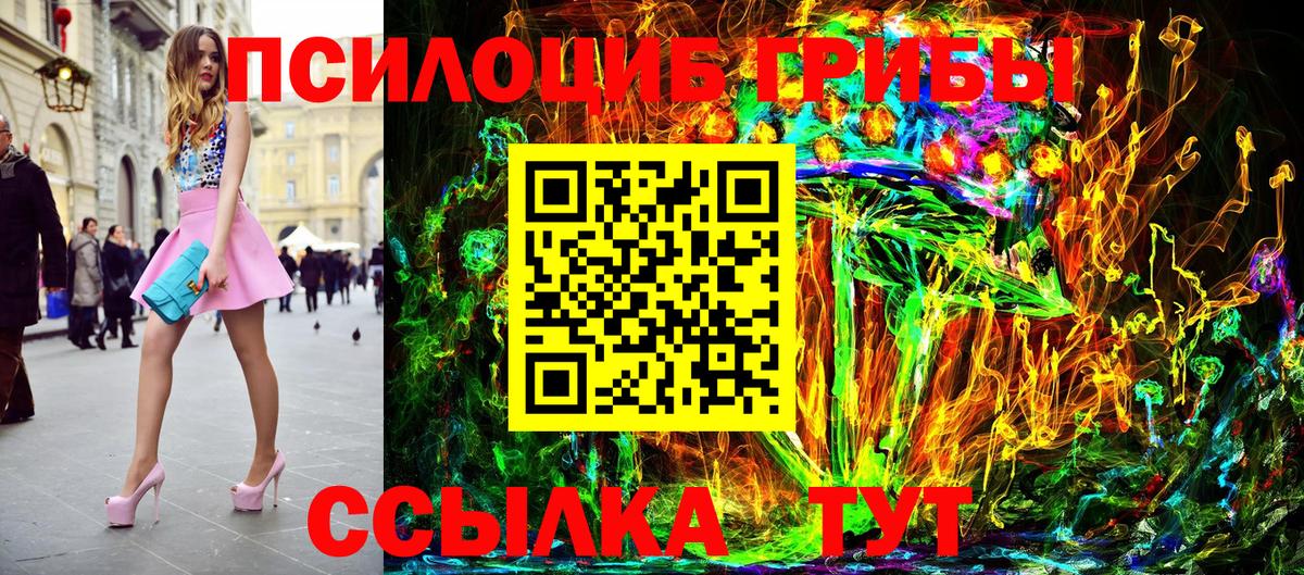 Псилоцибиновые грибы Psilocybine cubensis Камышлов